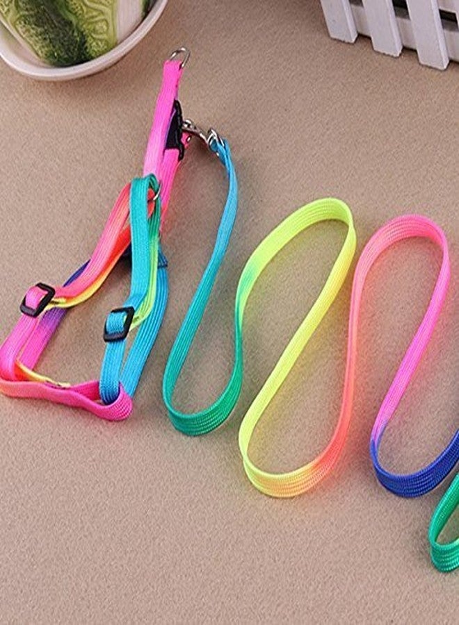 سايج سكوير حزام ومقود جرو من النايلون قابل للتعديل بألوان زاهية، صغير الحجم - Image 5